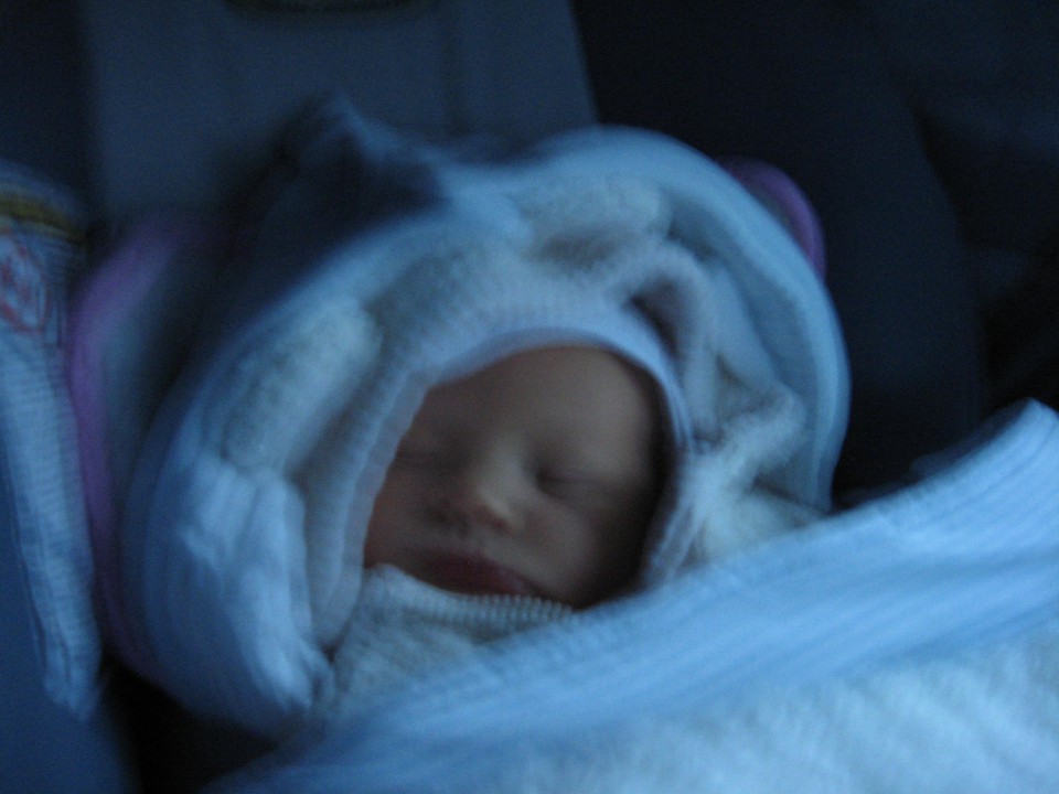 Odhod domov (18. 12. 2008) - foto povečava