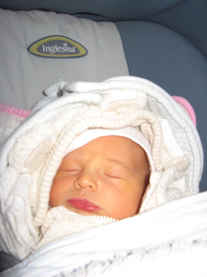 Odhod domov (18. 12. 2008) - foto povečava