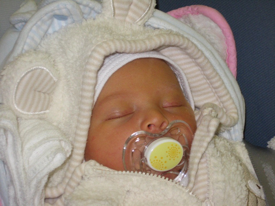 Odhod domov (18. 12. 2008) - foto povečava