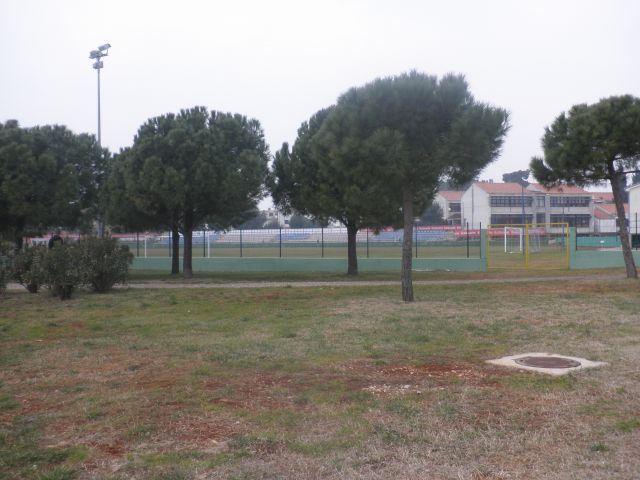 Priprave Novigrad 2011-februar - foto