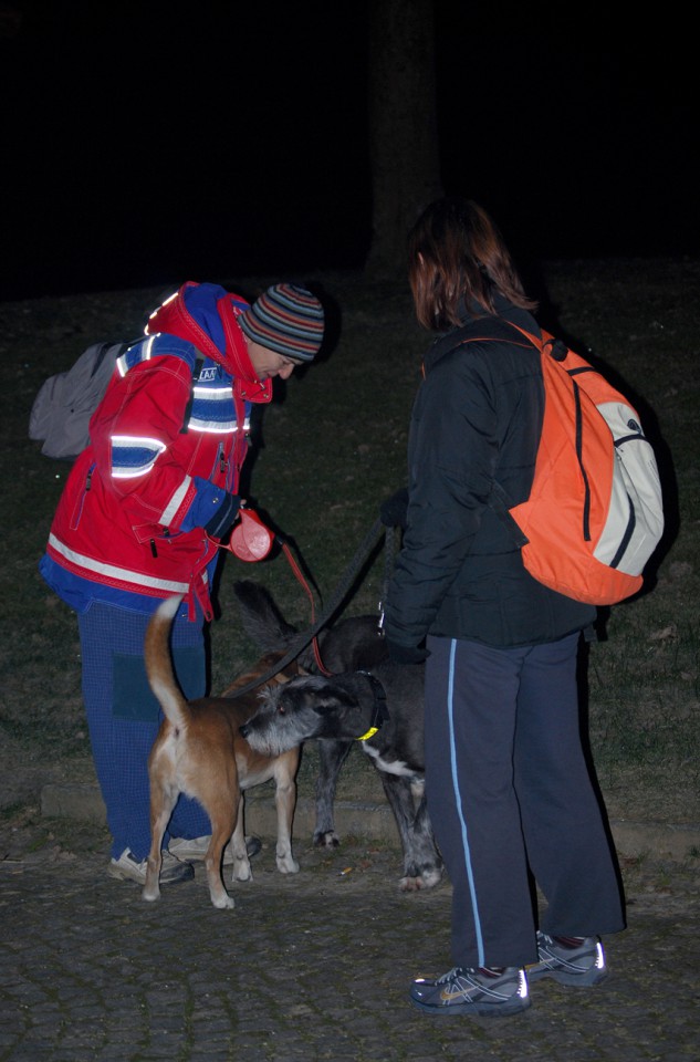 Tek v leto 2009 - foto povečava