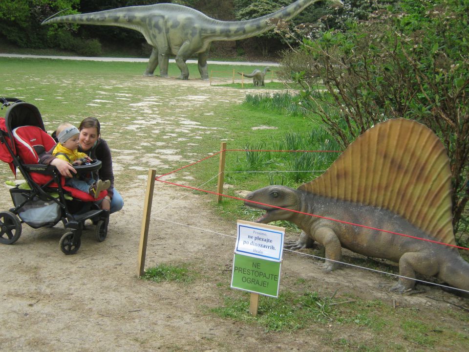 DINOLAND - foto povečava