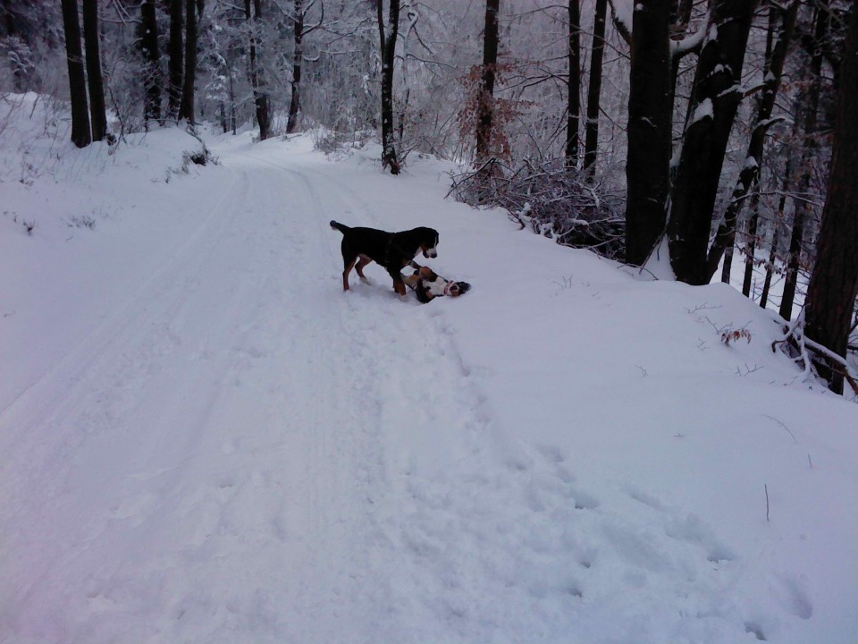 Tesa na obisku pri Doni in Tani - foto povečava