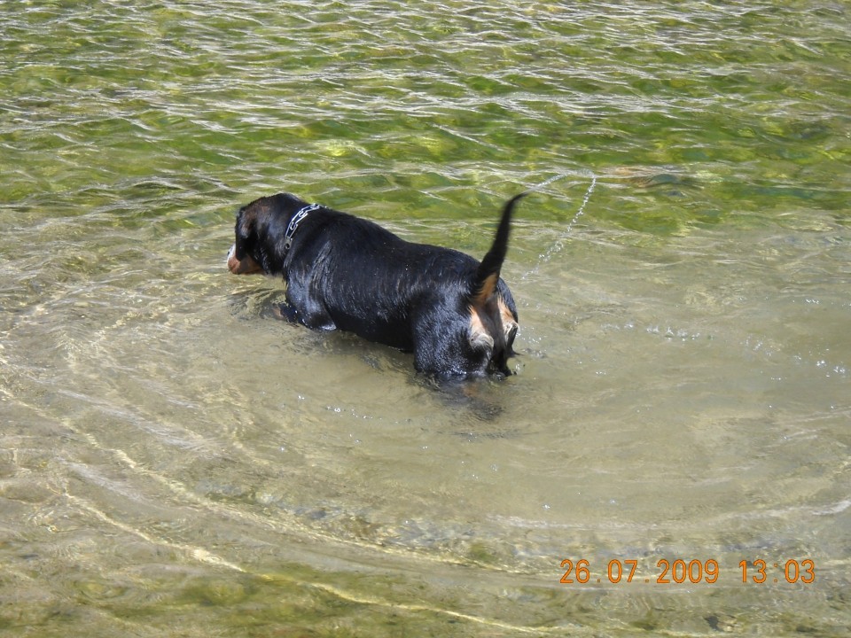 Korzika 2009 - foto povečava