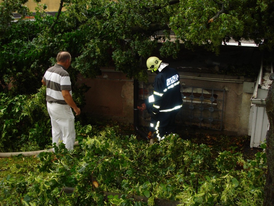 Neurje 16.6.2009 - Radgona - foto povečava