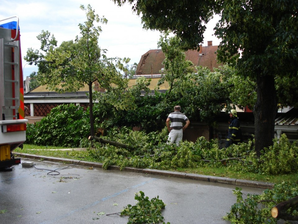 Neurje 16.6.2009 - Radgona - foto povečava