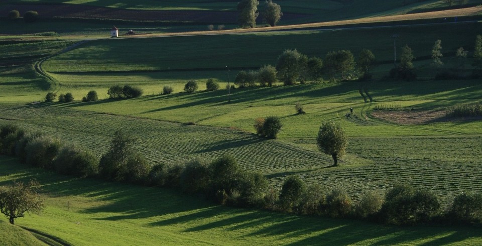 FOTOGALERIJA - foto povečava