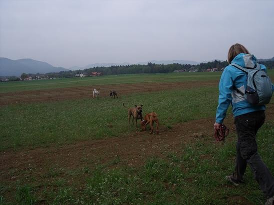 Sprehod - foto povečava