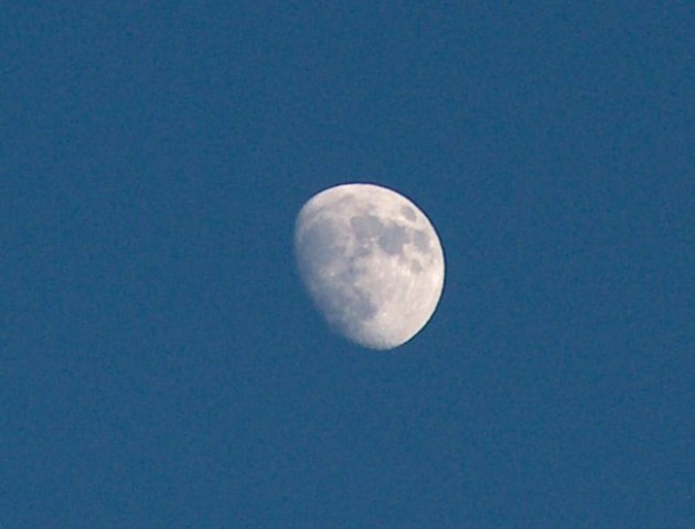 SLIKE 1 - foto