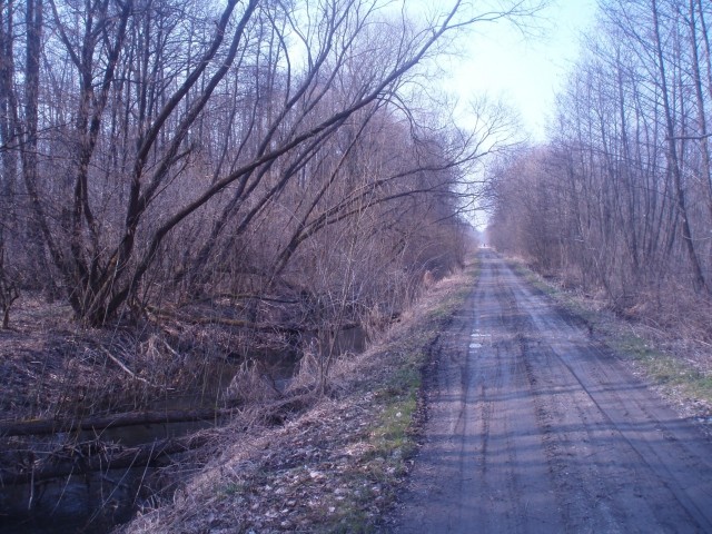 Pot oziroma cesta ob potoku Črnec proti Copekovemu mlinu je bila kar blatna