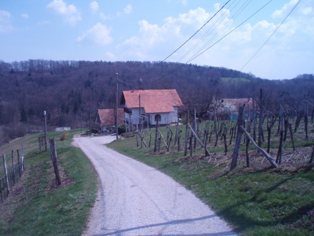 Še nekaj korakov in bom na Turistični kmetiji Zver. Jabolčni sok so imeli odličen, vino bo