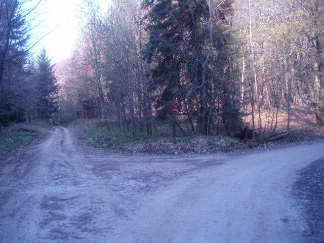 Levo vodi cesta oziroma pot proti Kostrivnici, desno pa seveda za planinski dom na Boču.