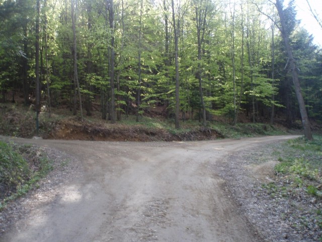 Levo vodi gozdna cesta proti vrhu Plešivca, desno pa proti planinskemu domu na Boču in je 