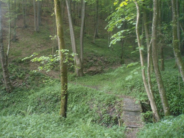 Proti Sladkemu vrhu se je vila tale pot in mostič je bil na njej.