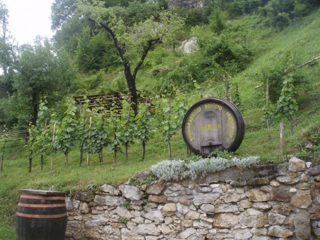 Studeniški vinogradniki imajo tudi svoje prostore in klet ob studeniški samostanski učni p