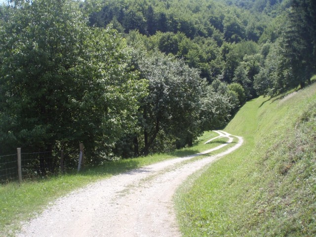 Spust po cesti od planinskega doma na Donački gori proti kraju Čermožiše.