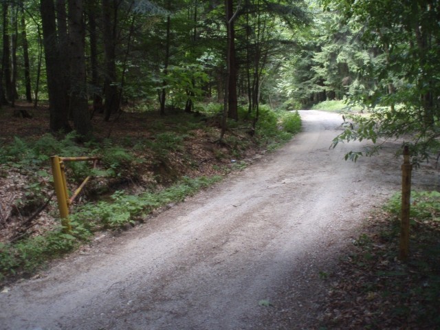 Opuščena rampa na gozdni cesti med Ravnimcerjem in jaso Formilo tik nad križiščem cest.