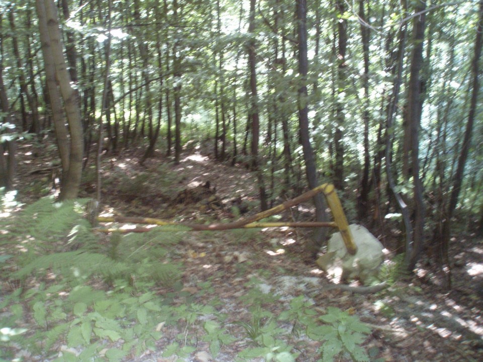 1. del opuščene gozdarske rampe na cesti(pod cesto) pod grebenom Plešivca, kakšen kilomete