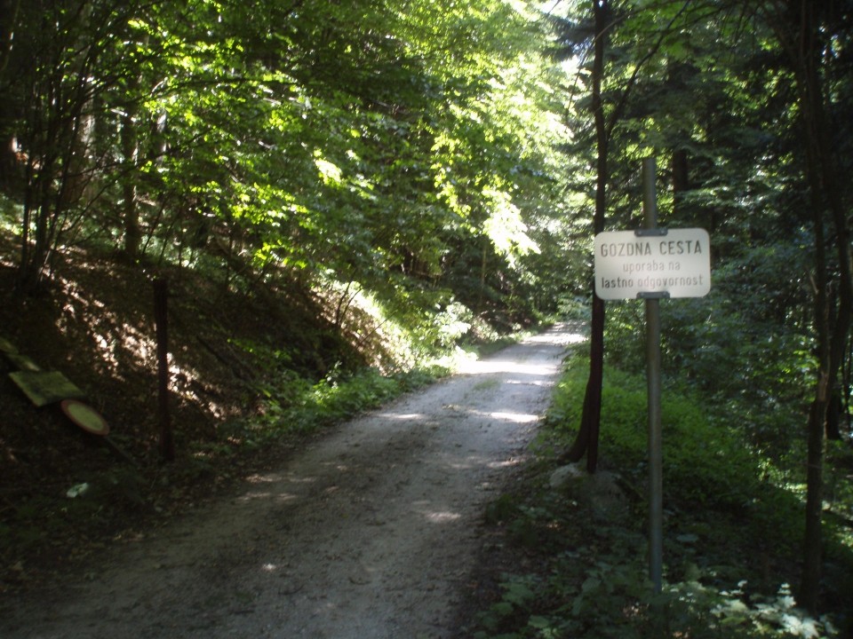 Vodilo današnje poti so bile opuščene gozdarske rampe na gozdnih cestah v krajinskem parku