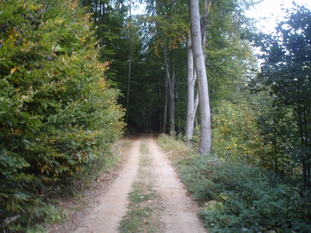 Med planoto Ravnocerje in Dednim vrhom se vije ena najlepših poti po krajinskem parku Boč 