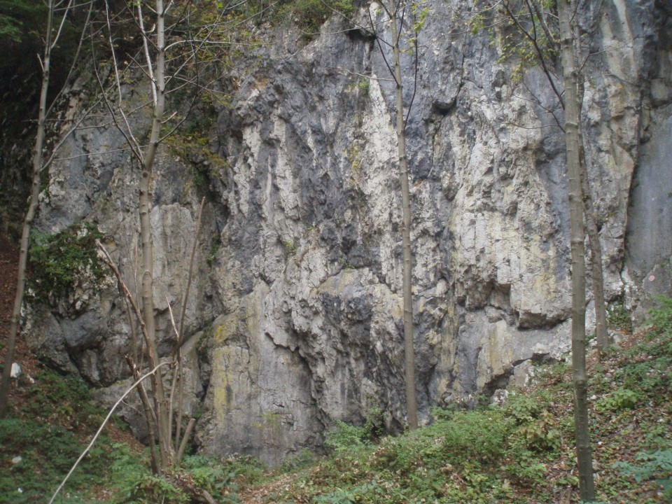 Današnji posnetek plezalne stene sem opravil nekoliko bližje steni, ker gozdna cesta vodi 