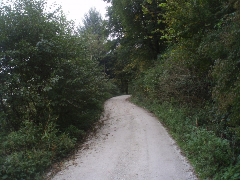 Med Podbočem in Pritenskim se dokaj strmo dviguje gozdna cesta.