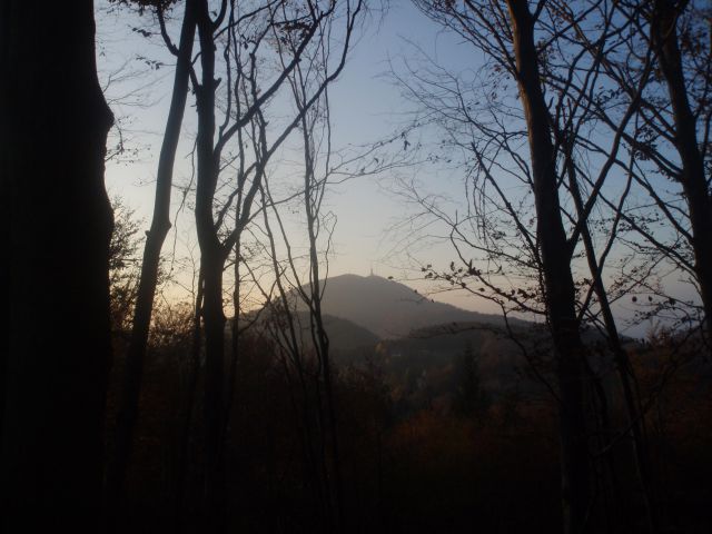 Vrh Boča in vrh Plešivca  Hoja 31.10.2009 - foto