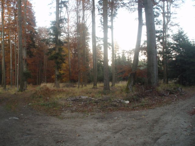 Vrh Boča in vrh Plešivca  Hoja 31.10.2009 - foto