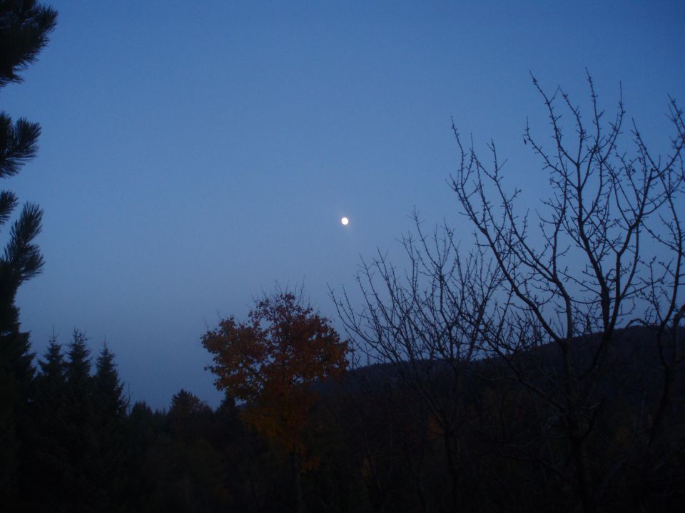 Vrh Boča in vrh Plešivca  Hoja 31.10.2009 - foto povečava