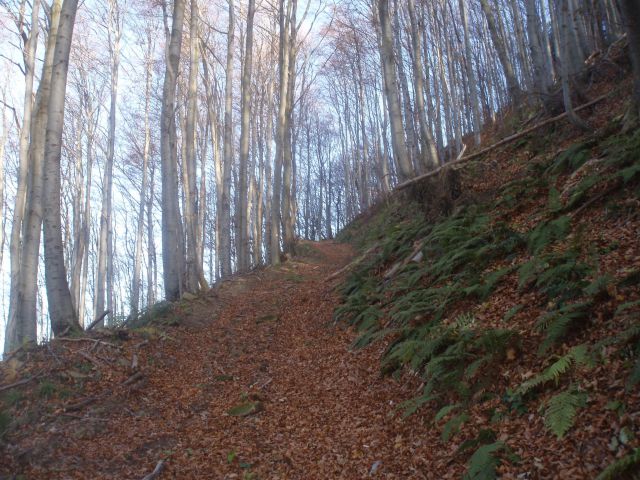 Boč-Plešivec-Donačka gora-Macelj 22.11.2009 - foto