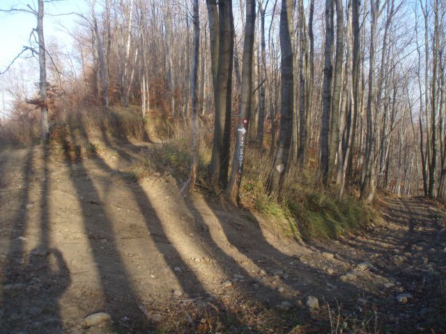 Boč-Plešivec-Donačka gora-Macelj 22.11.2009 - foto