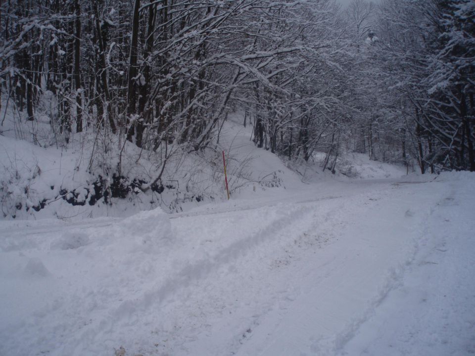 Boč nad Studenicami po sneženju, 07.01.2010 - foto povečava