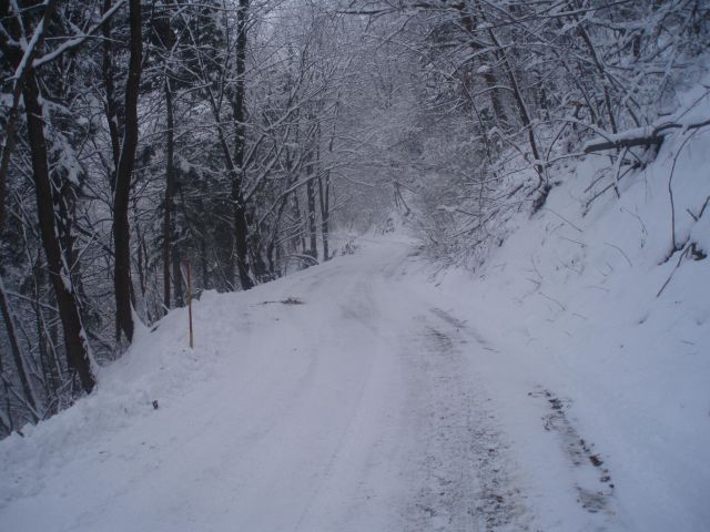 Boč nad Studenicami po sneženju, 07.01.2010 - foto