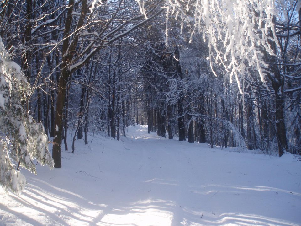 Plešivec, 27.01.2010 - foto povečava