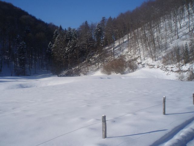 Plešivec, 27.01.2010 - foto