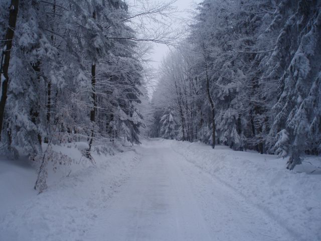 Plešivec & Boč 08.02.2010 - foto
