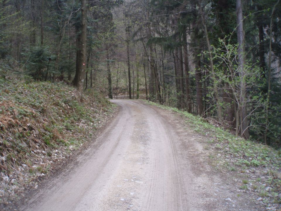 Bohor iz Lesičnega, 15.04.2012 - foto povečava