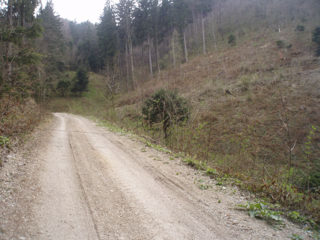 Bohor iz Lesičnega, 15.04.2012 - foto