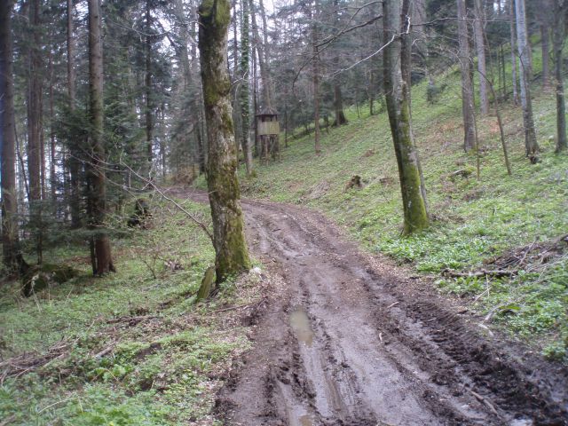 Bohor iz Lesičnega, 15.04.2012 - foto