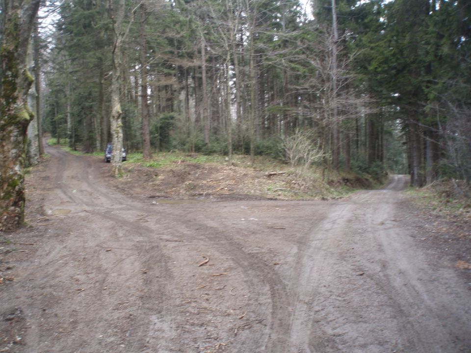 Bohor iz Lesičnega, 15.04.2012 - foto povečava