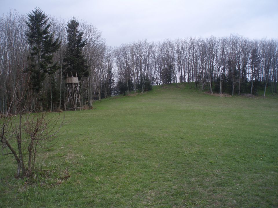 Bohor iz Lesičnega, 15.04.2012 - foto povečava