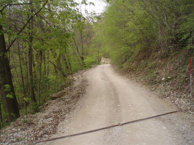 Bohor iz Kozjega, 22.04.2012 - foto