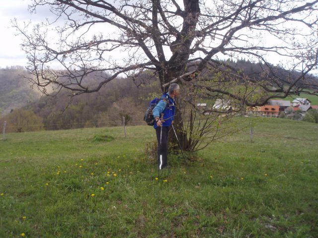 Bohor iz Kozjega, 22.04.2012 - foto