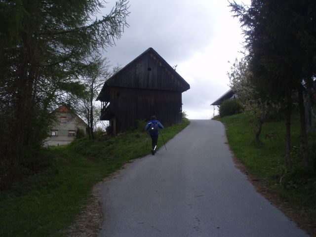 Bohor iz Kozjega, 22.04.2012 - foto