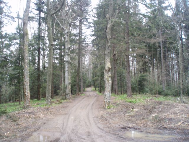 Bohor iz Kozjega, 22.04.2012 - foto