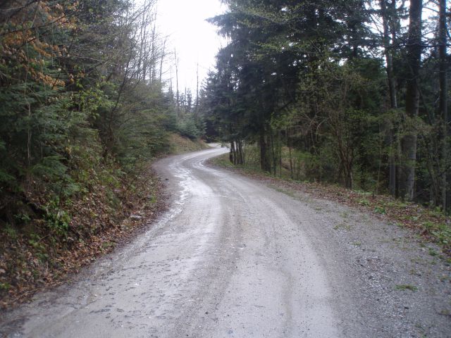 Bohor iz Kozjega, 22.04.2012 - foto