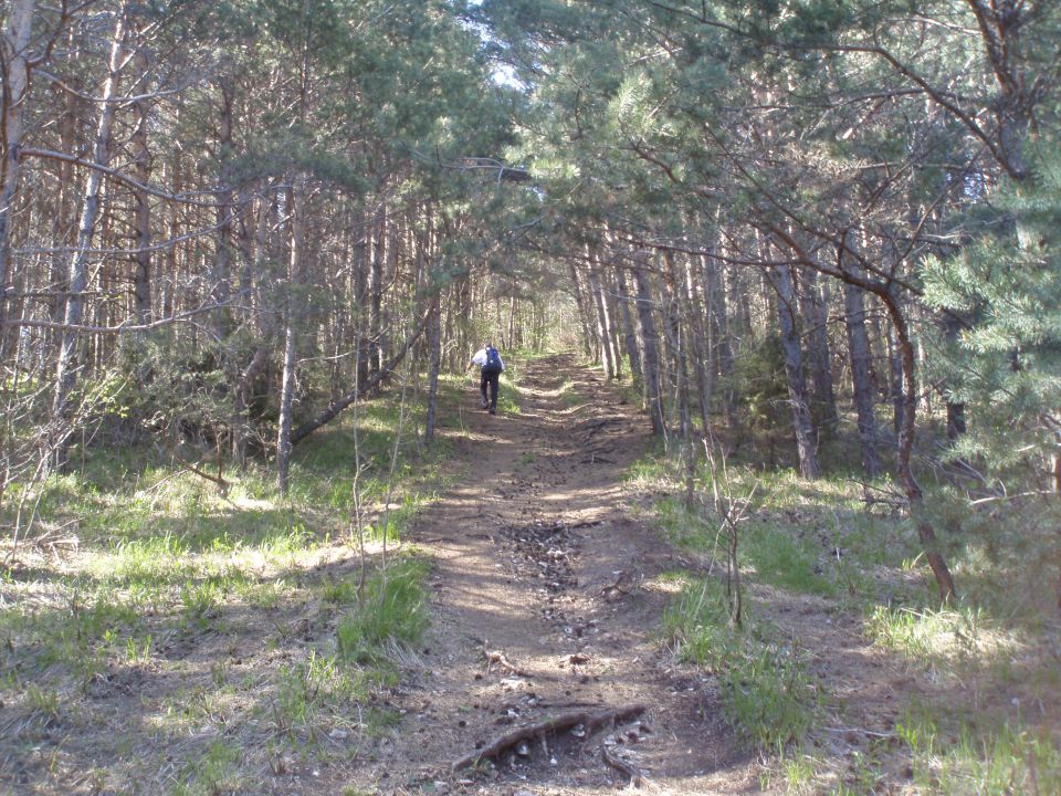 Gora - Sveti Lovrenc 1019 m.n.v. - foto povečava