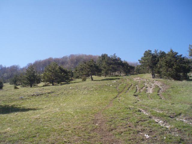 Gora - Sveti Lovrenc 1019 m.n.v. - foto