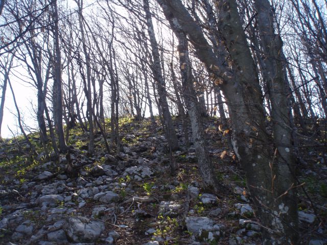 Gora - Sveti Lovrenc 1019 m.n.v. - foto