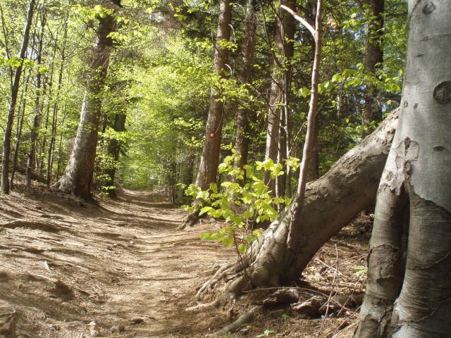 Stolpnik all round, 01.05.2012 - foto